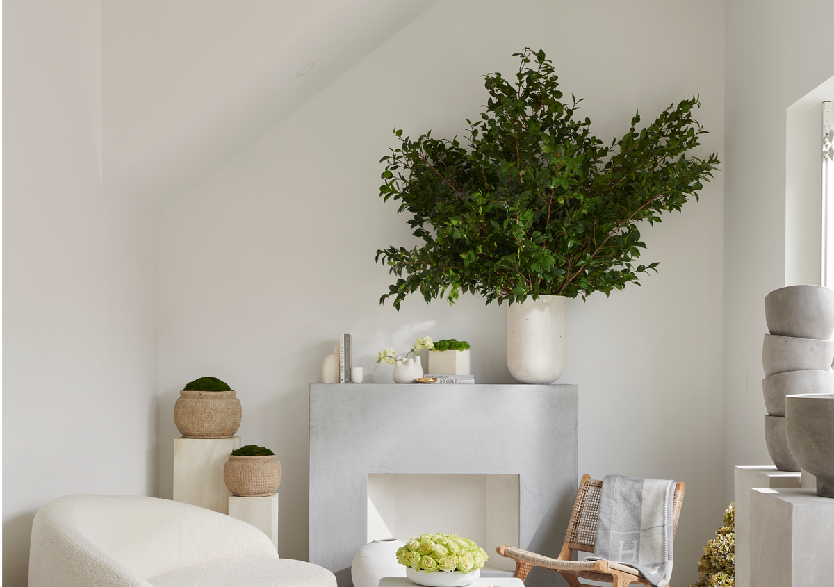 How to Use Eucalyptus in Your Home: 6 Elegant Decorating Ideas – Aubé ...