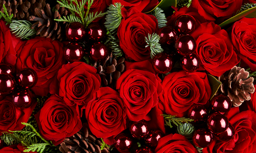 The Flowers for Christmas Arrangements We Recommend