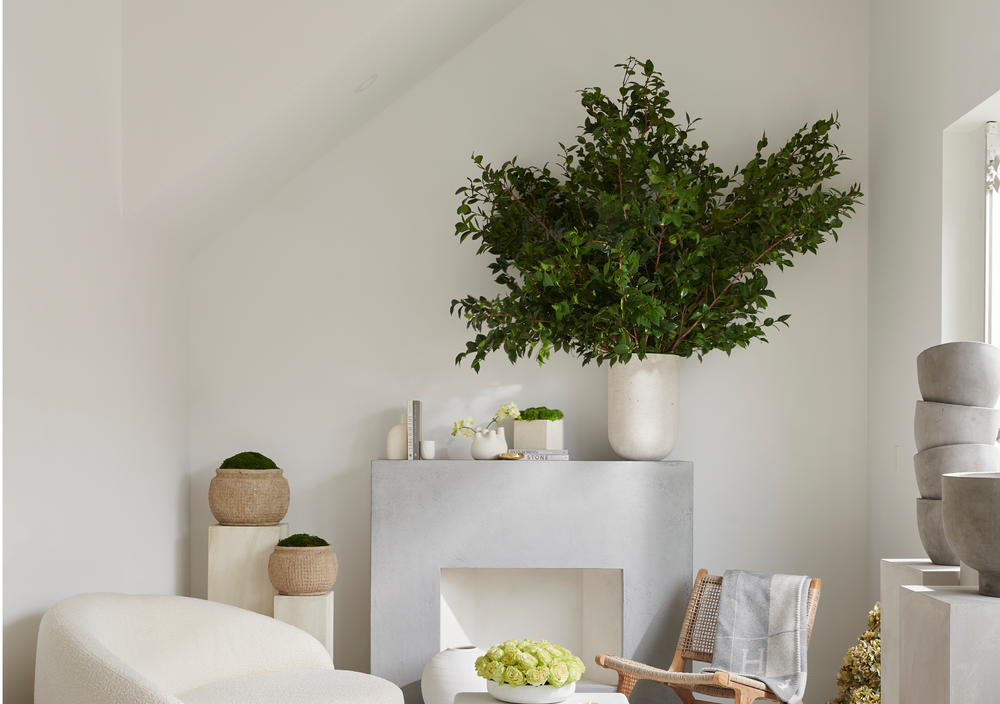 How to Use Eucalyptus in Your Home: 6 Elegant Decorating Ideas