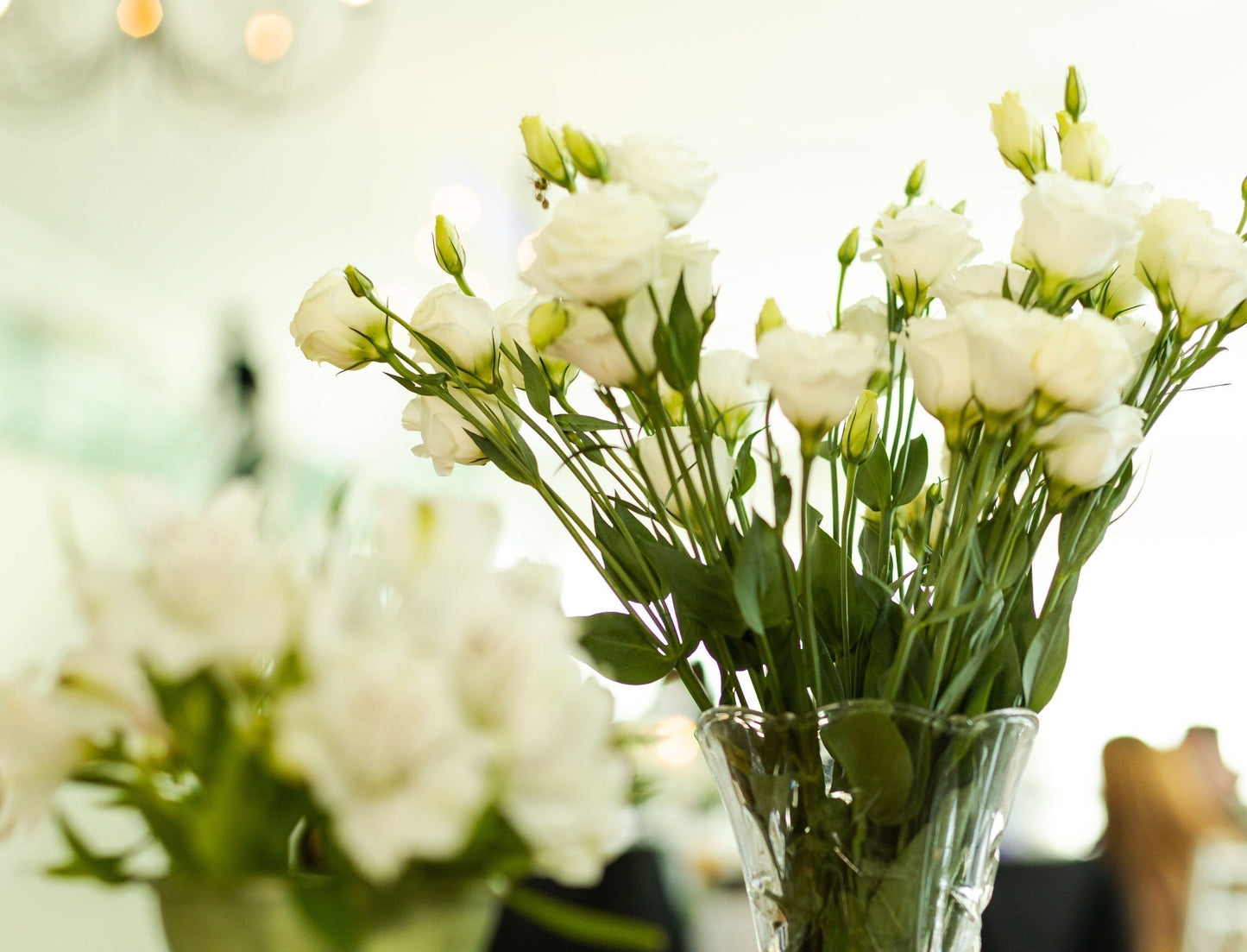 Aubé Explains Lisianthus: Meaning, Care, and Styling Tips for Elegant Floral Arrangements