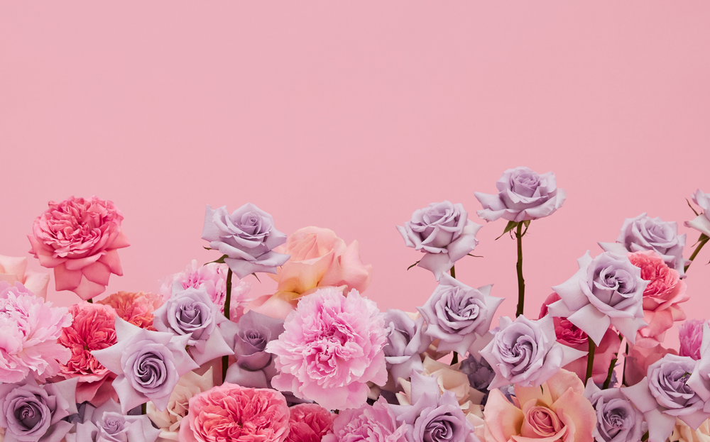 Discover Premium Floral Arrangements Near Me with Aubé Arrangements