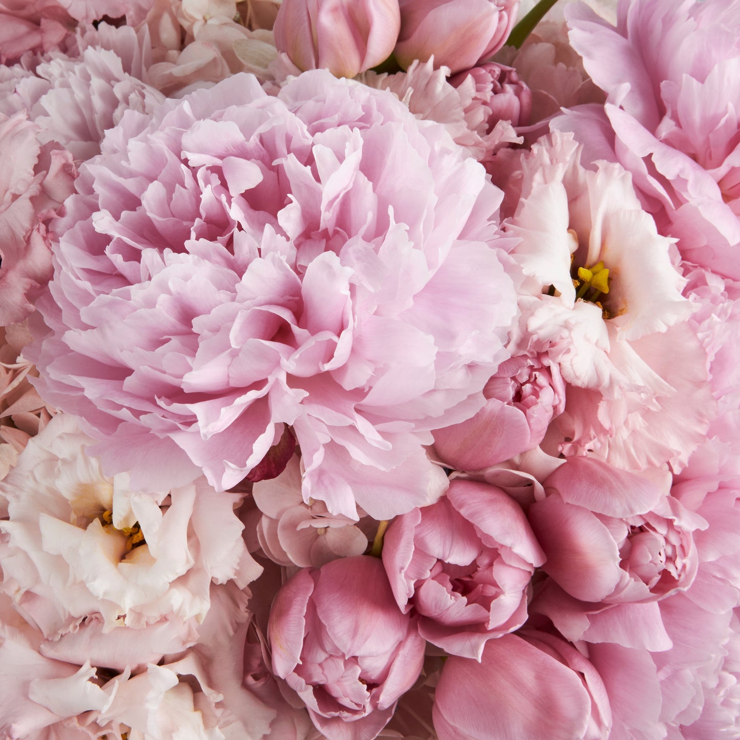 MOTHER'S DAY COLLECTION