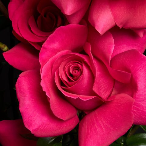 VALENTINE'S DAY COLLECTION