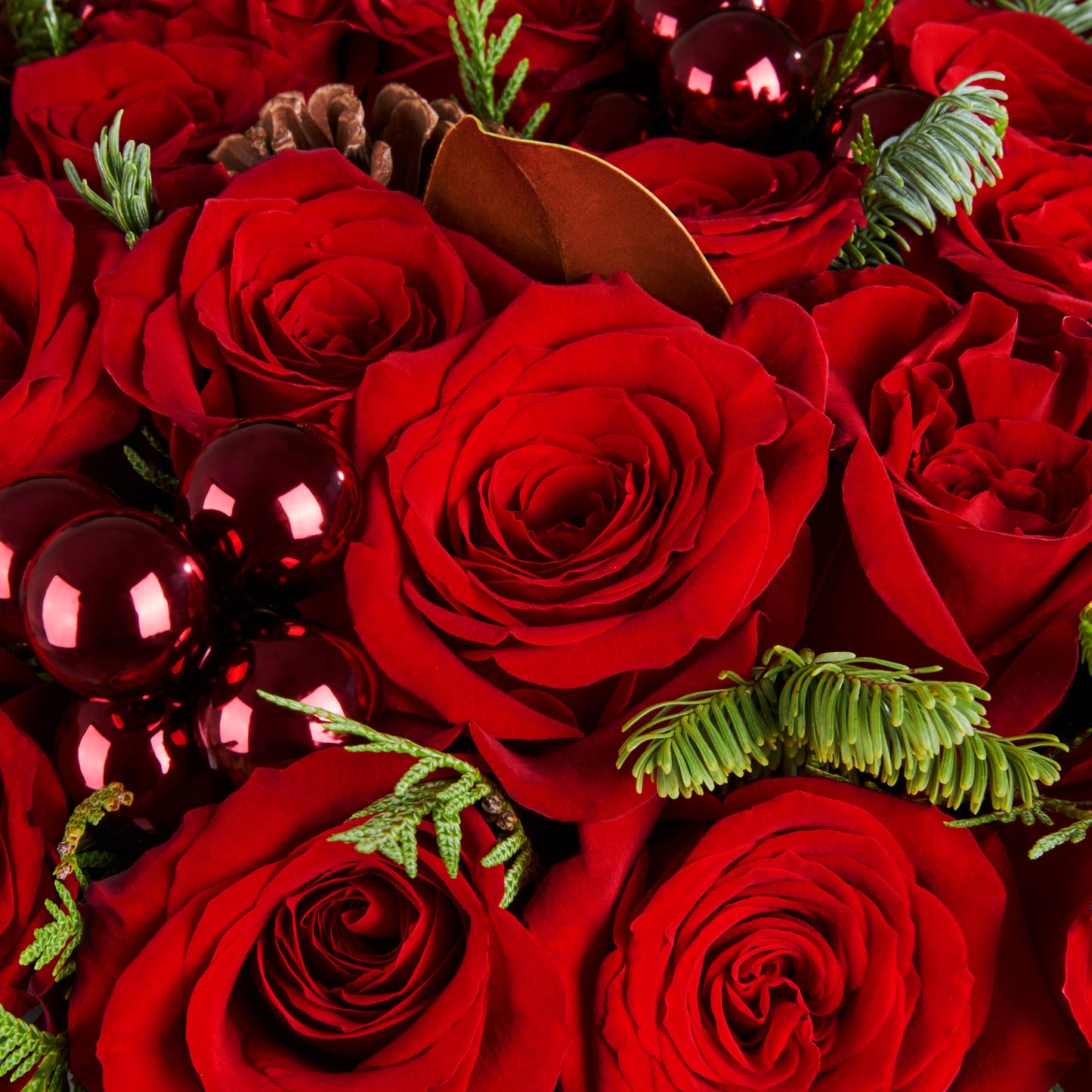 THE HOLIDAY COLLECTION