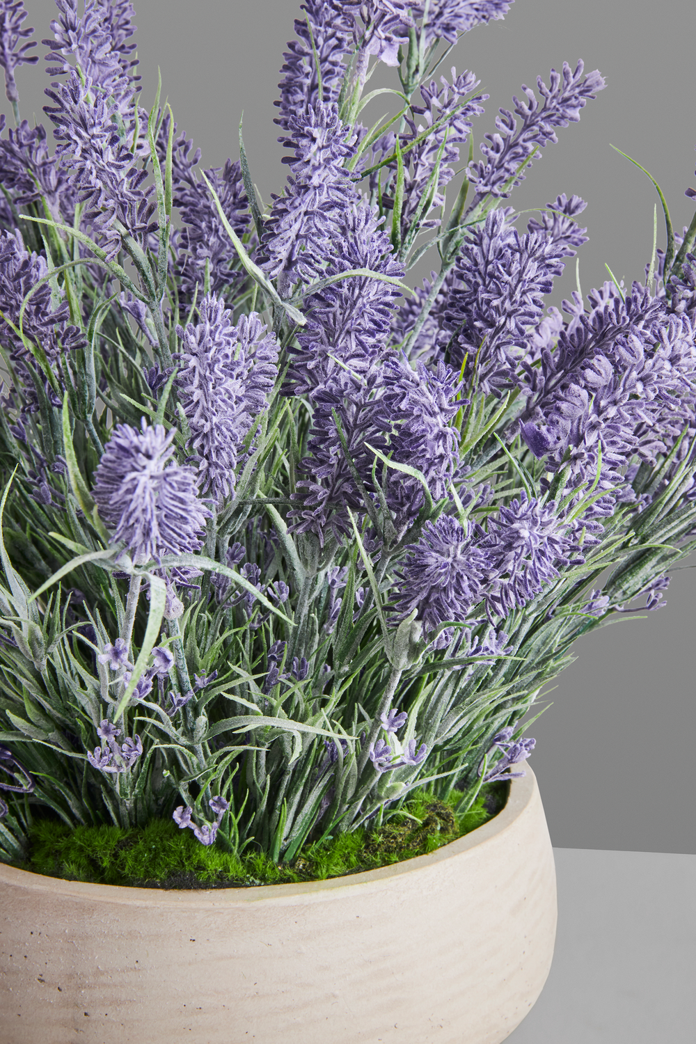 LAVENDER FIELDS