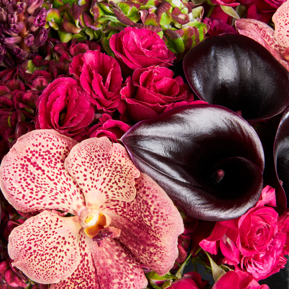 
                  
                    Hydrangeas, Calla Lillies, Spray Roses, Vanda Orchids, Hyacinth, Lisianthus
                  
                