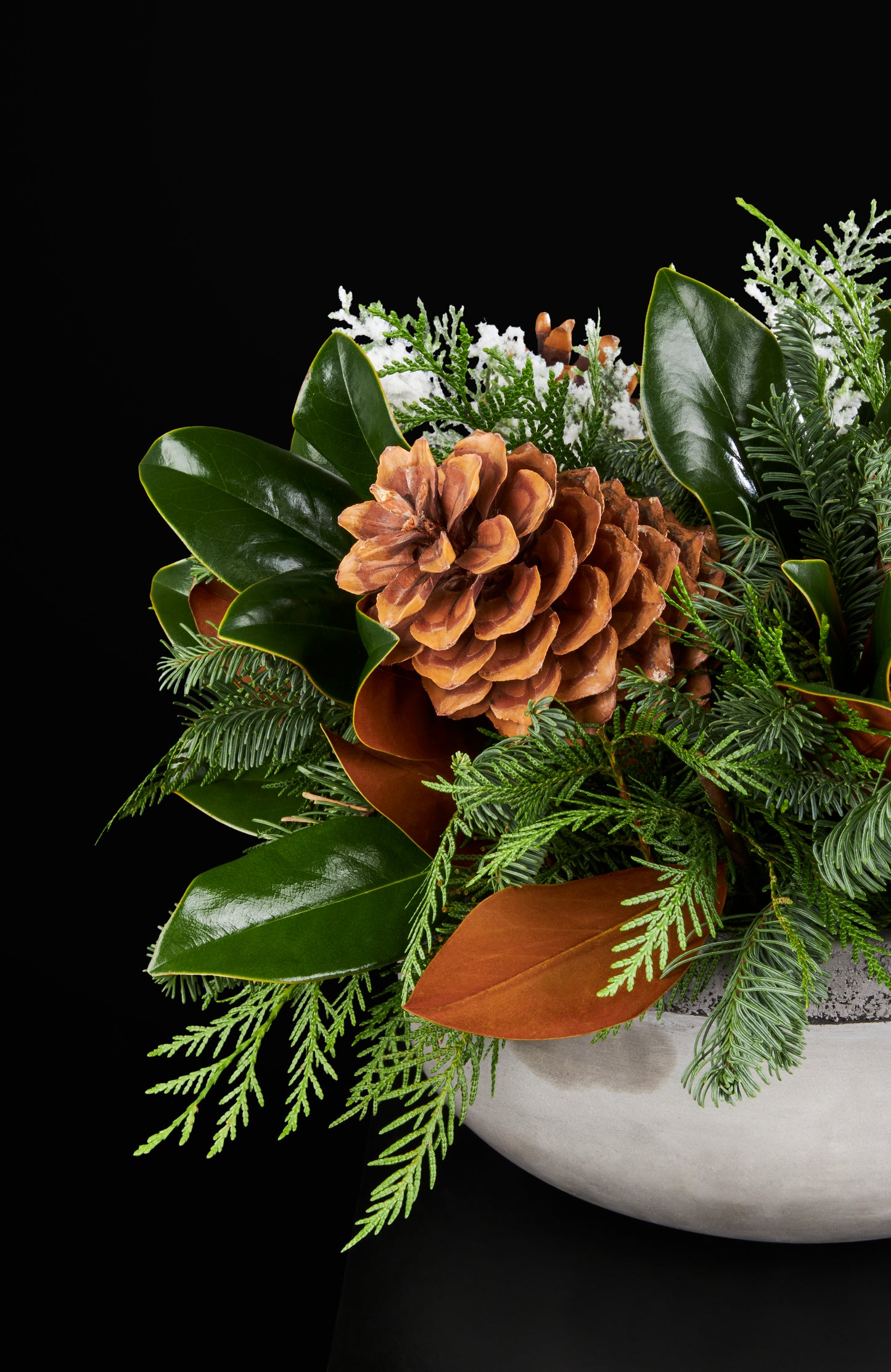 
                  
                    Magnolia Leaves, Cedar, Pine, Large Pine Cones and faux frosted cedar. Cement Bowl.
                  
                