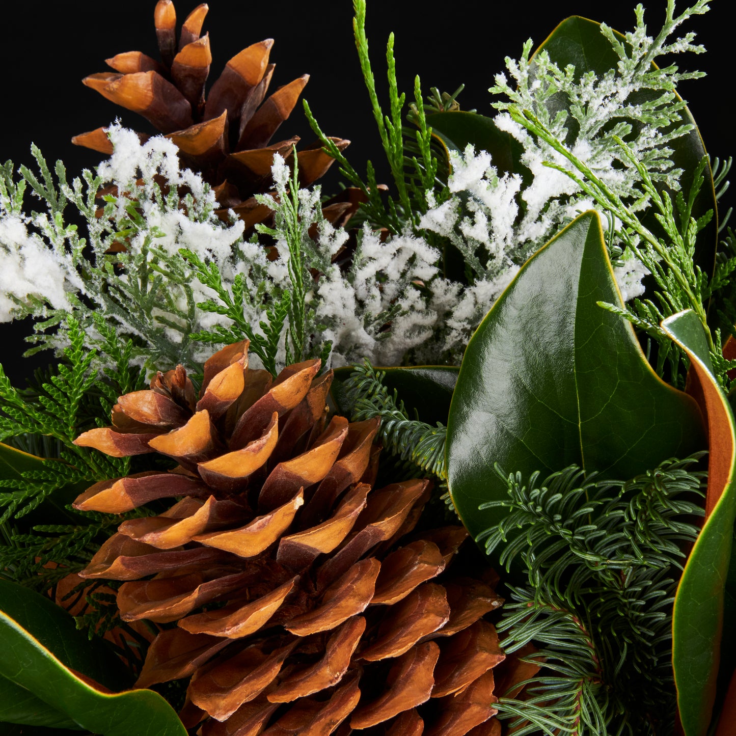 
                  
                    Magnolia Leaves, Cedar, Pine, Large Pine Cones and faux frosted cedar. Cement Bowl.
                  
                