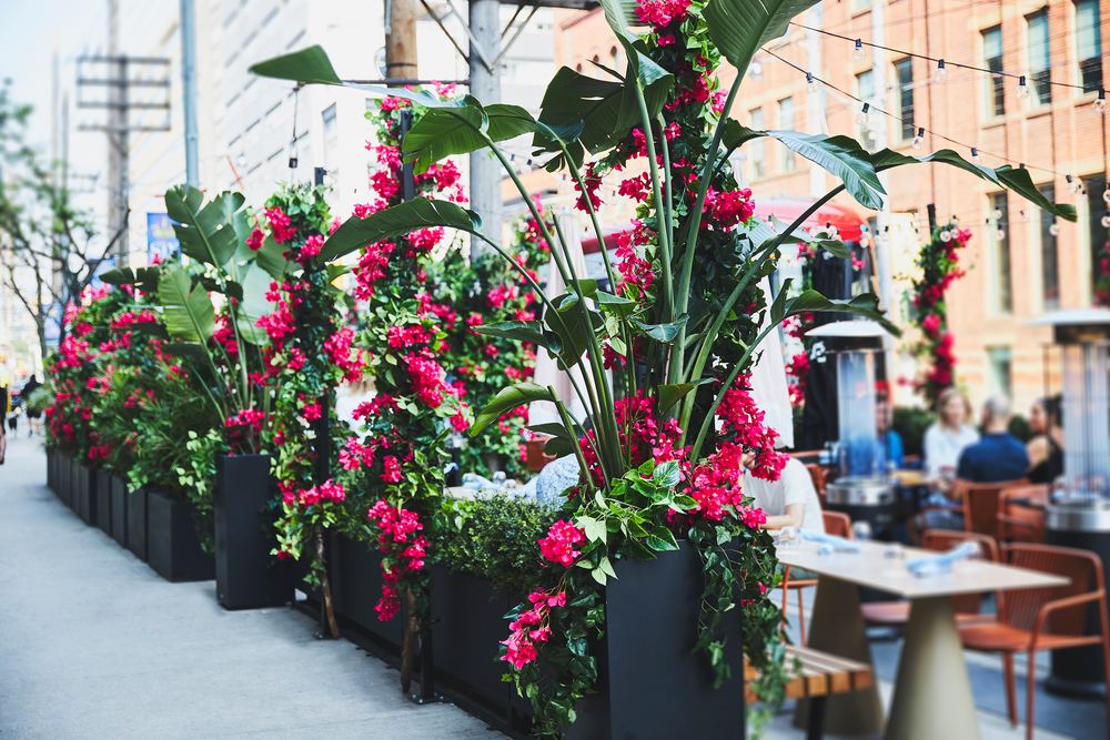Floral installation at the Oretta Patio on King Street Toronto